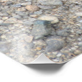 Impression Photo Dragonfly 24X18 - Une queue blanche commune (Coin)