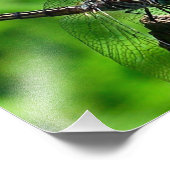 Impression Photo Dragonfly Close Up Nature 8x10 (Coin)