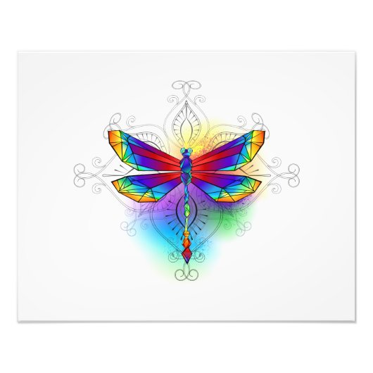 Impression Photo Dragonfly en arc-en-ciel (Devant)