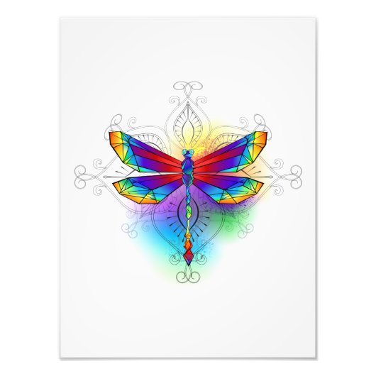 Impression Photo Dragonfly en arc-en-ciel (Devant)
