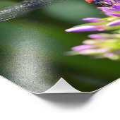 Impression Photo Dragonfly et Davids Lavender Phlox (Coin)