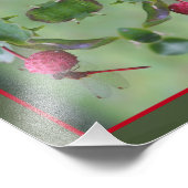 Impression Photo Dragonfly rouge sur les fruits de bois de chien Ab (Coin)