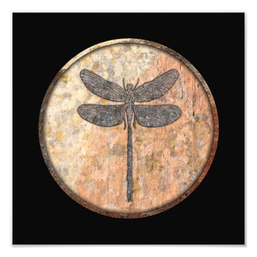 Impression Photo Dragonfly Talking Canyons, Nouveau-Mexique (Devant)