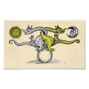 Impression Photo Dragons d'or et d'argent