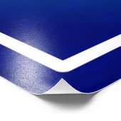 Impression Photo Drapeau américain avec Flamant rose Cartoon-69681 (Coin)