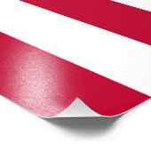 Impression Photo Drapeau américain Sons Of Liberty à 9 bandes (Coin)