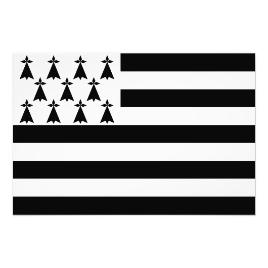 Impression Photo Drapeau de Bretagne patriotique (Devant)