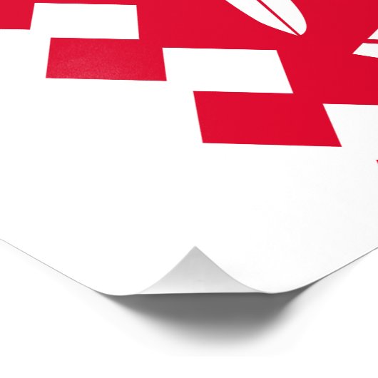 Impression Photo Drapeau de Karelia Nord (Coin)