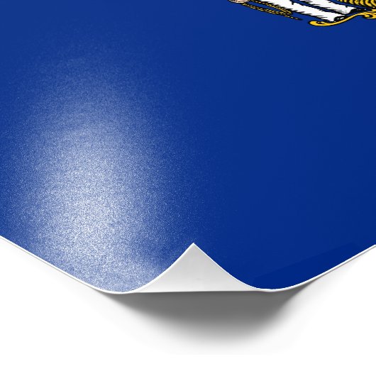 Impression Photo Drapeau de l'État du Wisconsin (Coin)