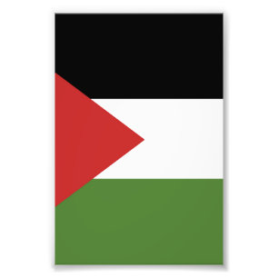 Impression Photo Drapeau de Palestine