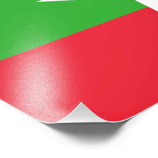 Impression Photo Drapeau du Myanmar (Coin)