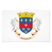 Impression Photo Drapeau Saint-Barthélemy (Devant)