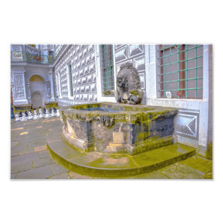 Impression Photo Dresden Castle Lion Fountain, Germany