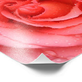 Impression Photo Drops d'eau rose romantique (Coin)