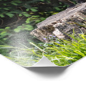 Impression photo du kit Red Fox (Coin)