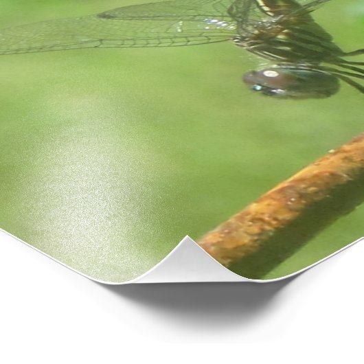 Impression photo du stand de libellés (Coin)