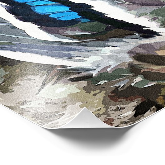 IMPRESSION PHOTO DUCK FEATHERS (Coin)