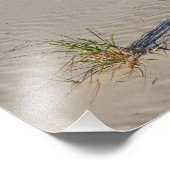 Impression Photo Dune Grass sur la plage (Coin)