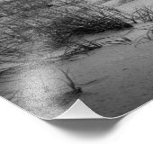 Impression Photo Dunes de sable de Floride (Coin)