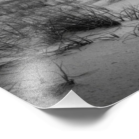 Impression Photo Dunes de sable de Floride (Coin)