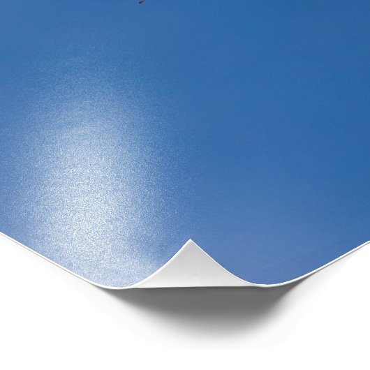 Impression Photo Eagle au-dessus (Coin)