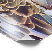 IMPRESSION PHOTO EAGLE DE MER (Coin)