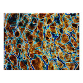 IMPRESSION PHOTO EAU (Devant)