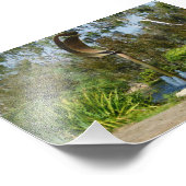 Impression Photo Eau de courbe (Coin)