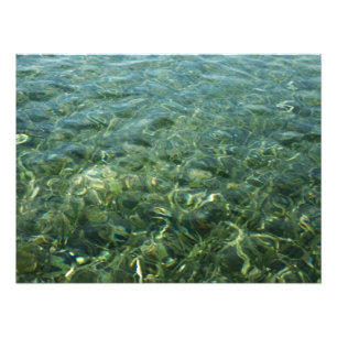Impression Photo Eau sur l'herbe marine I Nature caribéenne