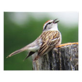 Impression Photo Écart (Devant)