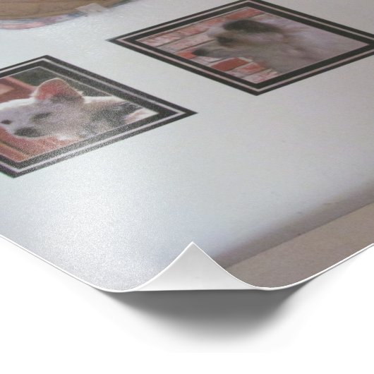 Impression Photo Échantillon d'aimants frigorifiques (Coin)