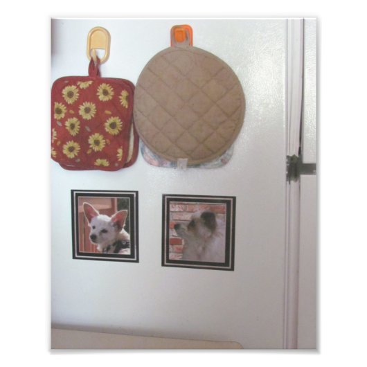 Impression Photo Échantillon d'aimants frigorifiques (Devant)