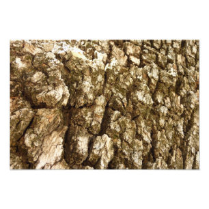 Impression Photo Écorce d'arbre II motif texturé naturel