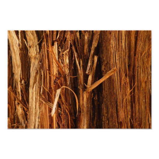 Impression Photo Écorce de bois texturée de cèdre (Devant)
