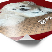 Impression Photo Écoutez le Malshi Relaxant (Coin)