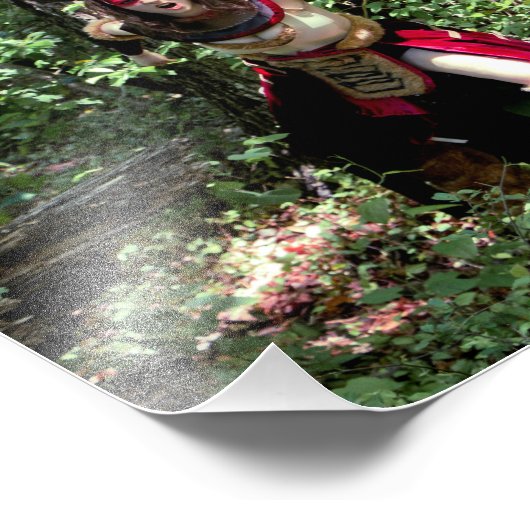 Impression Photo Écoutez-moi ROAR (Coin)