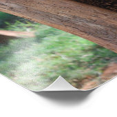 Impression Photo Écrasement de l'ours (Coin)