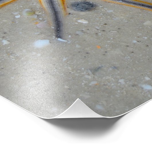 Impression Photo Écre (Coin)