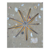 Impression Photo Écre (Devant)