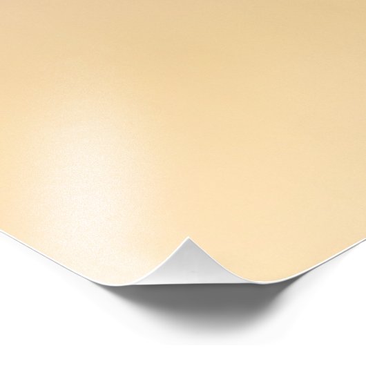 Impression Photo Écureuil (Coin)