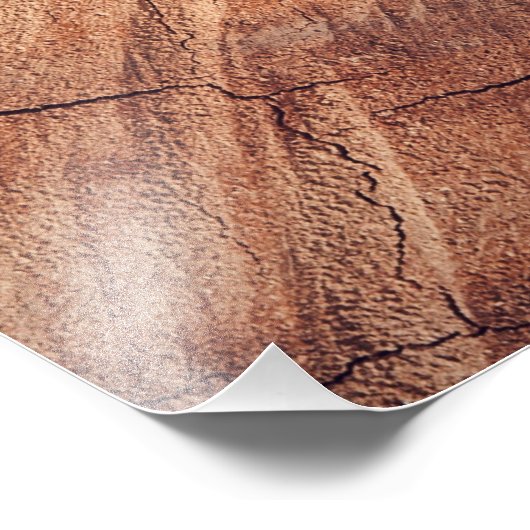 Impression Photo Écureuil - bois (Coin)