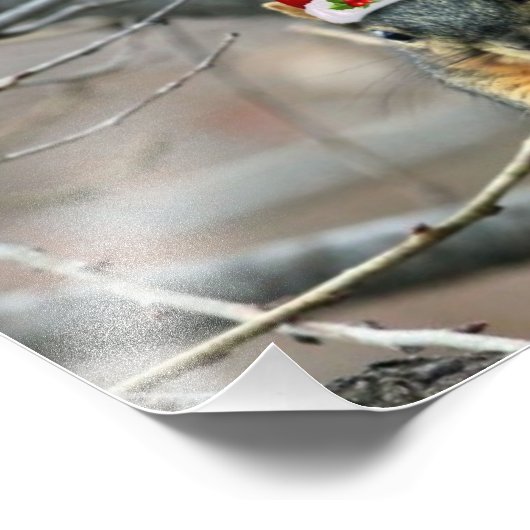 Impression Photo Écureuil de Noël (Coin)