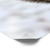 Impression Photo Écureuil de Noël en neige (Coin)