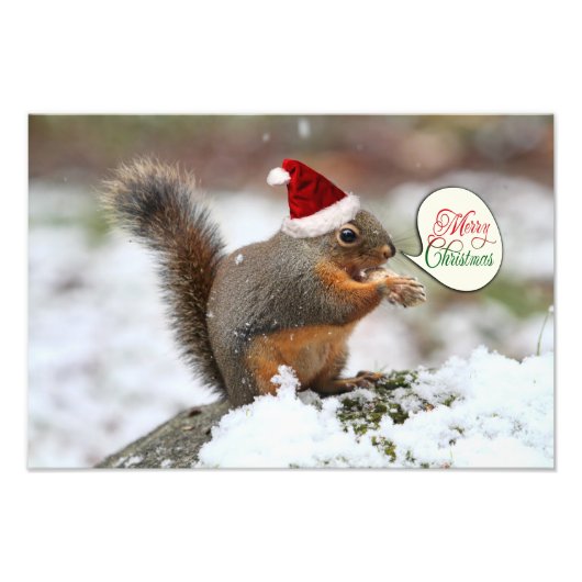 Impression Photo Écureuil de Noël en neige (Devant)