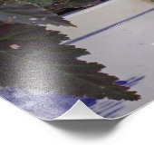 Impression Photo Écureuil en pot de fleurs (Coin)