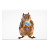 Impression Photo Écureuil et présent (Devant)