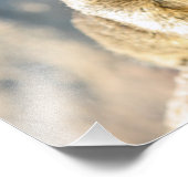 Impression Photo Écureuil gris, Monterey Bay, Californie (Coin)