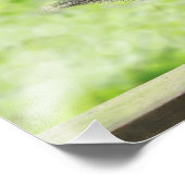 Impression Photo Écureuil mignon Qui Fait Tai Chi (Coin)