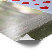 Impression Photo Écureuil regardant à l'intérieur de la boîte de co (Coin)