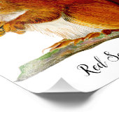 Impression Photo Écureuil rouge peint en aquarelle Art de la faune (Coin)